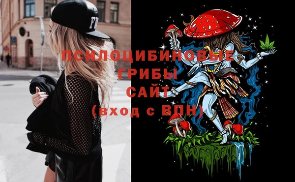 mix Бородино